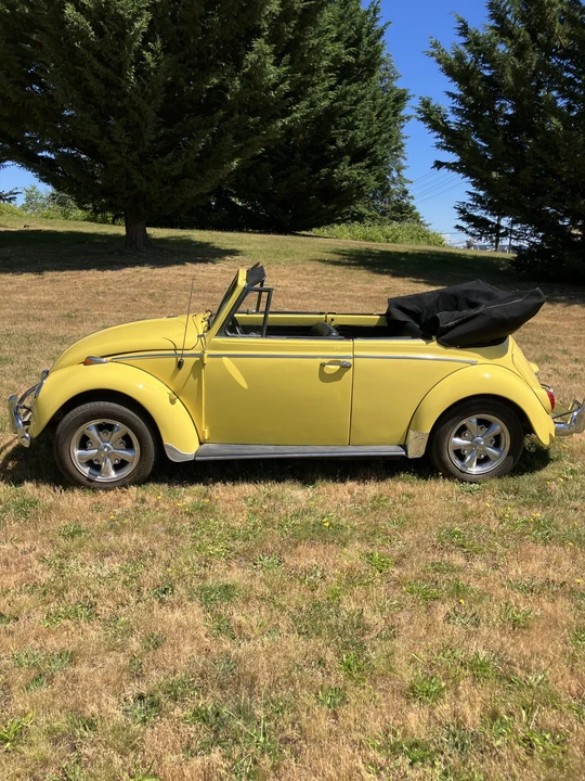 1965 Volkswagen Beetle (1958-1979) - Image 4 of 31