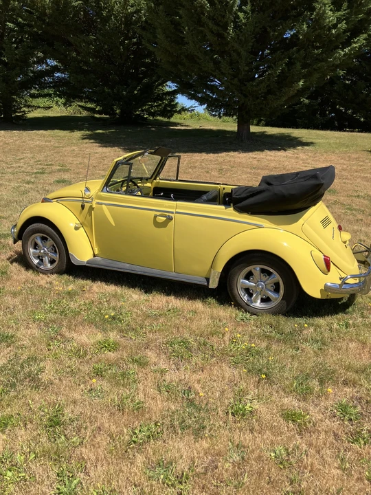 1965 Volkswagen Beetle (1958-1979) - Image 5 of 31