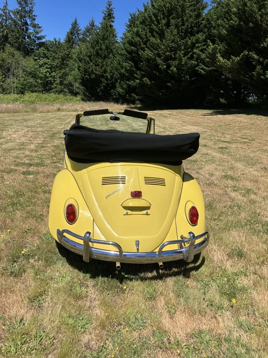 1965 Volkswagen Beetle (1958-1979) - Image 8 of 31