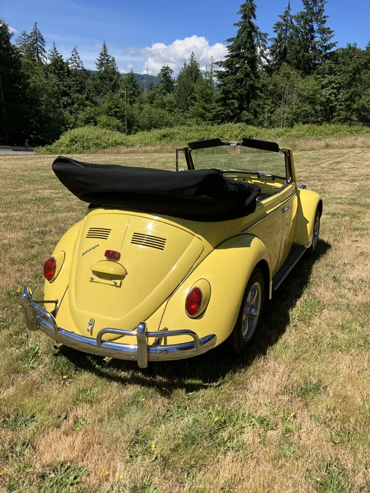 1965 Volkswagen Beetle (1958-1979) - Image 9 of 31
