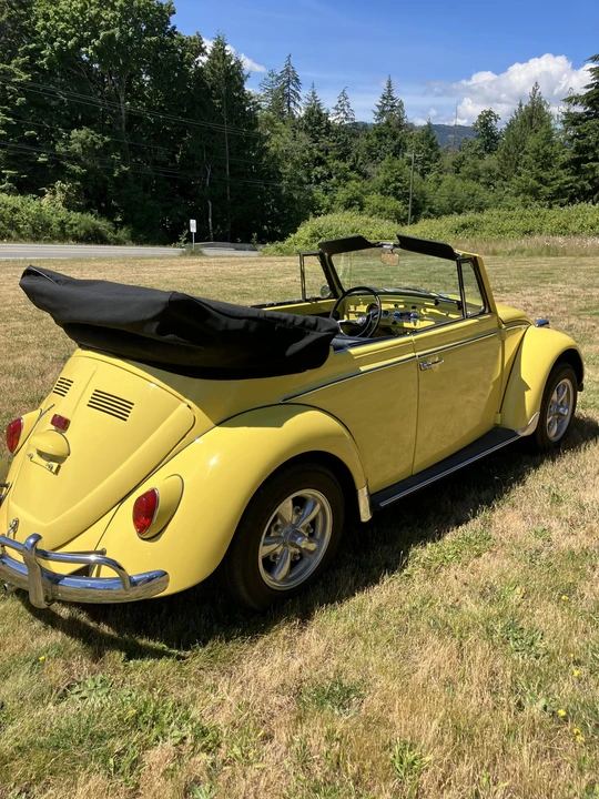 1965 Volkswagen Beetle (1958-1979) - Image 10 of 31