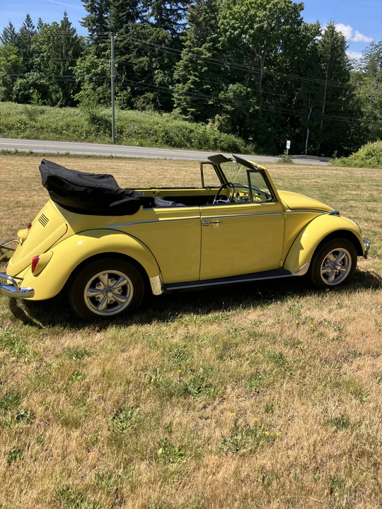 1965 Volkswagen Beetle (1958-1979) - Image 11 of 31