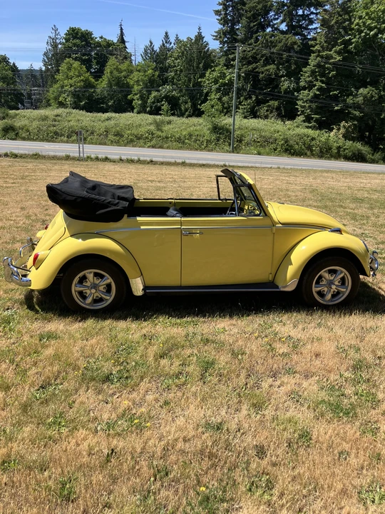 1965 Volkswagen Beetle (1958-1979) - Image 12 of 31