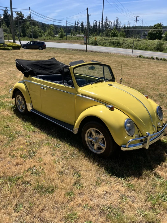 1965 Volkswagen Beetle (1958-1979) - Image 13 of 31