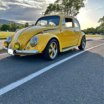 1965 Volkswagen Beetle Hatchback 2D