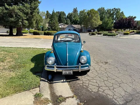 1965 Volkswagen Beetle