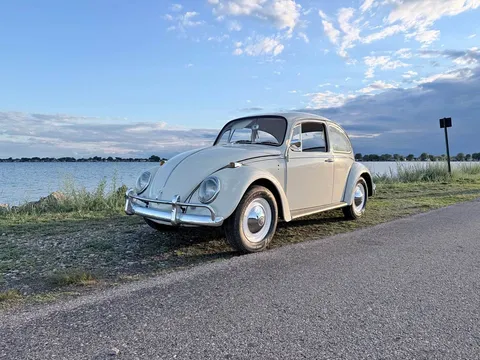 1965 Volkswagen Beetle