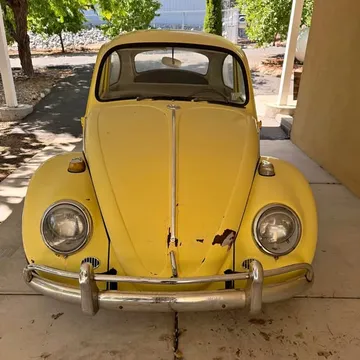 1965 Volkswagen Beetle Other