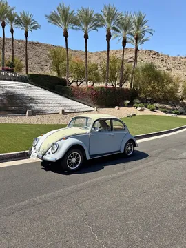 1965 Volkswagen Beetle Sedan