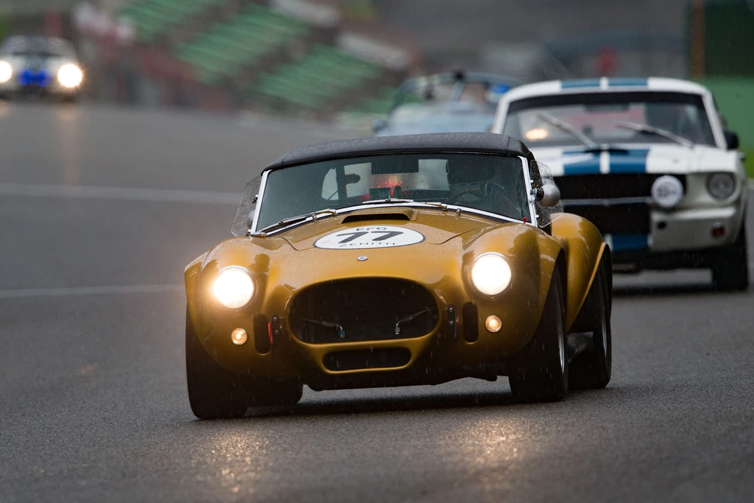 2016 Shelby - Image 9 of 31