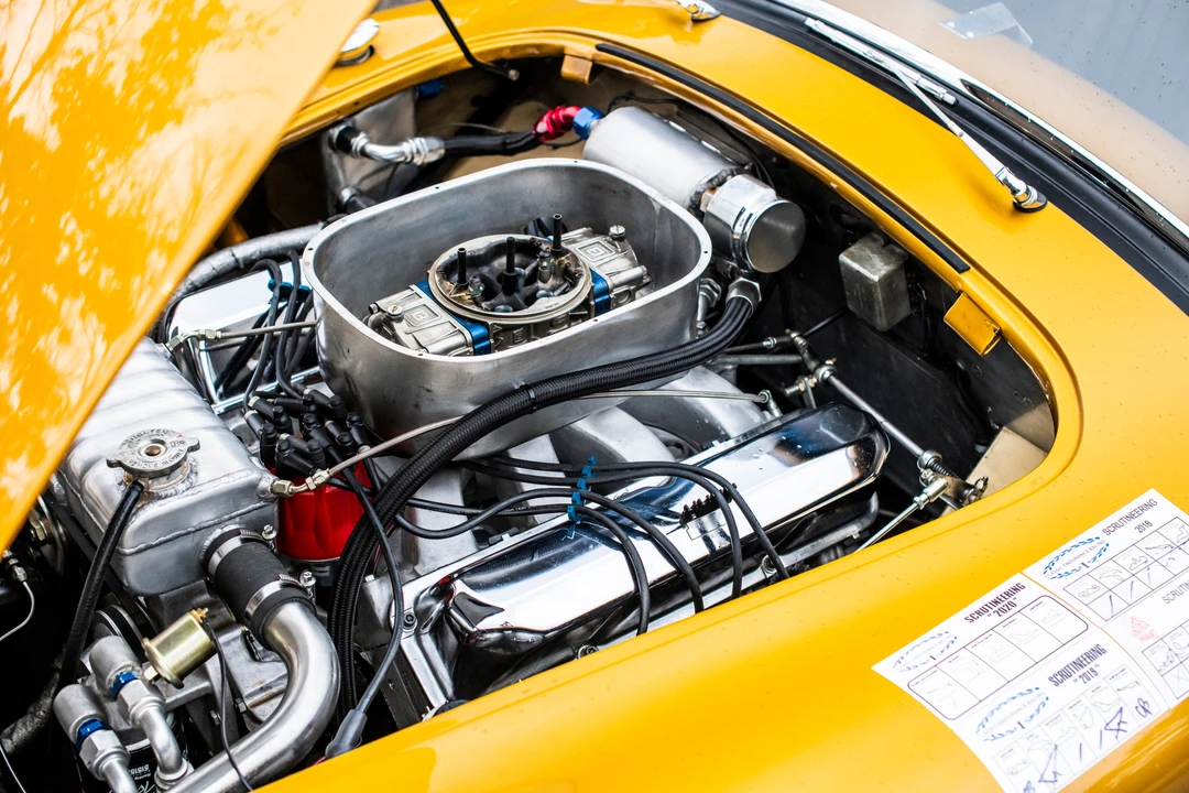 2016 Shelby - Image 21 of 31