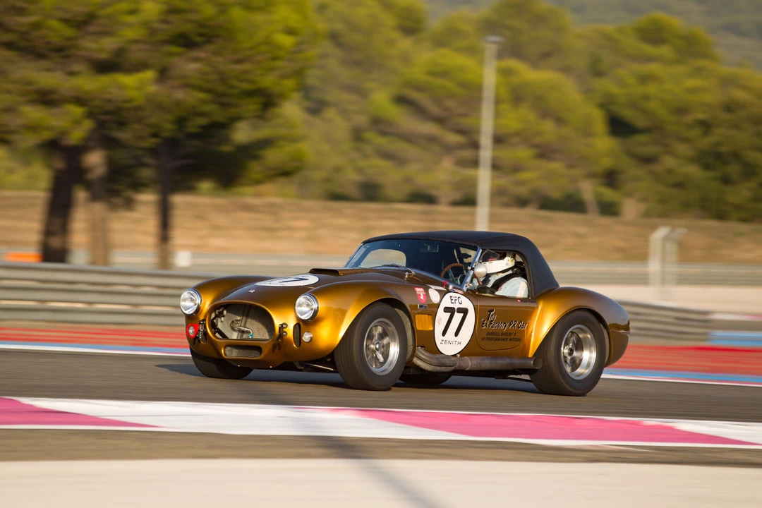 2016 Shelby - Image 8 of 31