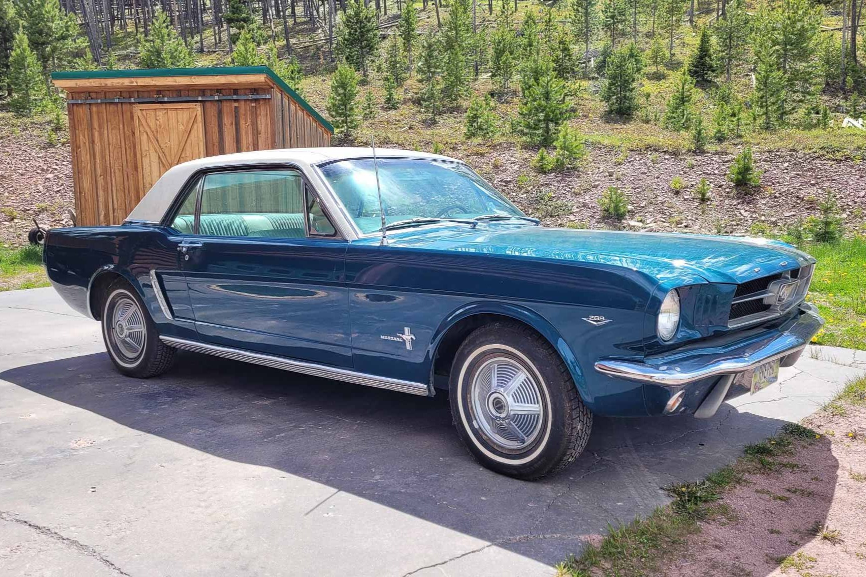 Original-Owner 1965 Ford Mustang Coupe 289