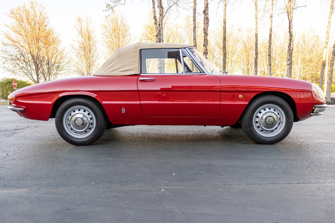 1966 Alfa Romeo Series 1 - Image 5 of 31