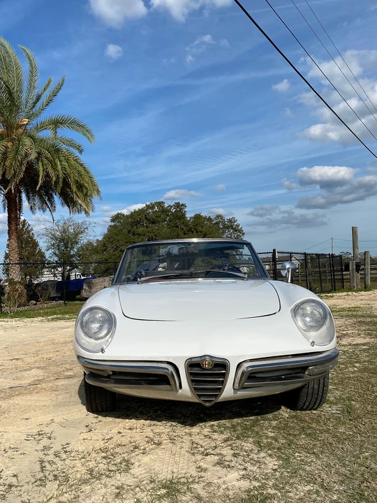 1966 Alfa Romeo Series 1 - Image 26 of 31