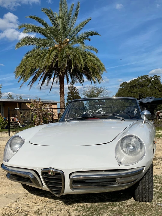 1966 Alfa Romeo Series 1 - Image 28 of 31
