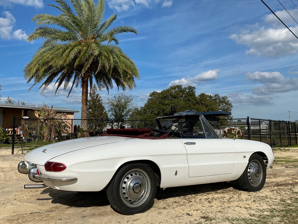 1966 Alfa Romeo Series 1 - Image 24 of 31