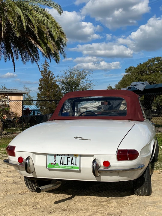 1966 Alfa Romeo Series 1 - Image 19 of 31