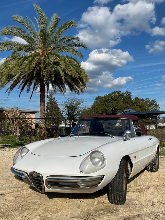 1966 Alfa Romeo Series 1 - Image 8 of 31