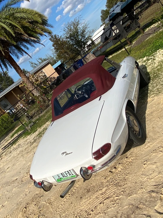 1966 Alfa Romeo Series 1 - Image 20 of 31