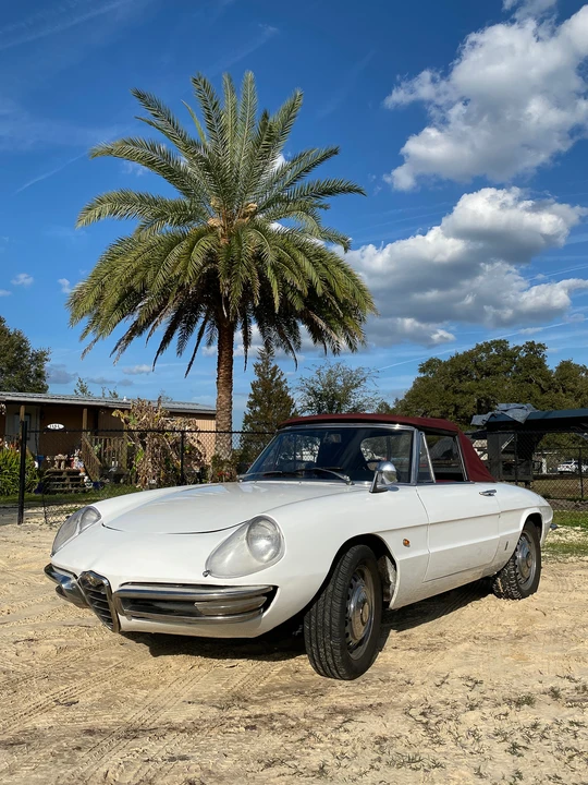 1966 Alfa Romeo Series 1 - Image 9 of 31
