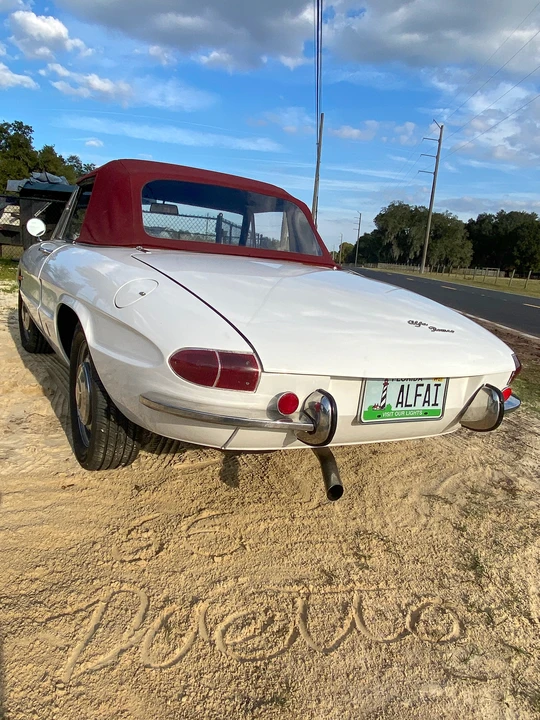 1966 Alfa Romeo Series 1 - Image 14 of 31