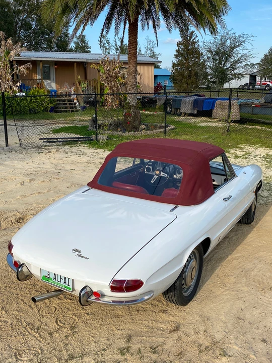 1966 Alfa Romeo Series 1 - Image 17 of 31