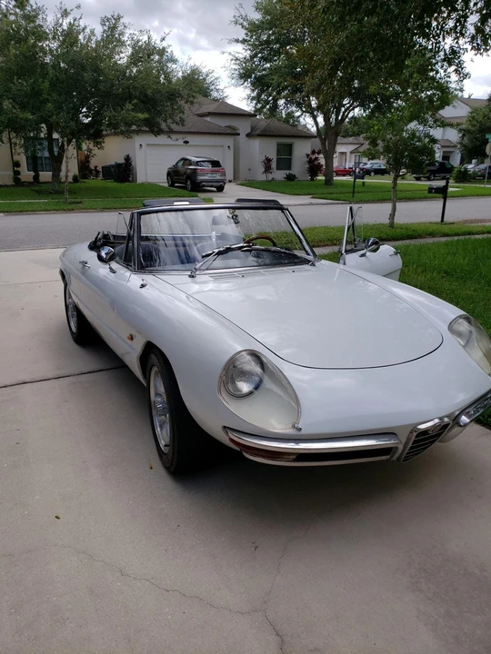 1966 Alfa Romeo Series 1 - Image 3 of 31