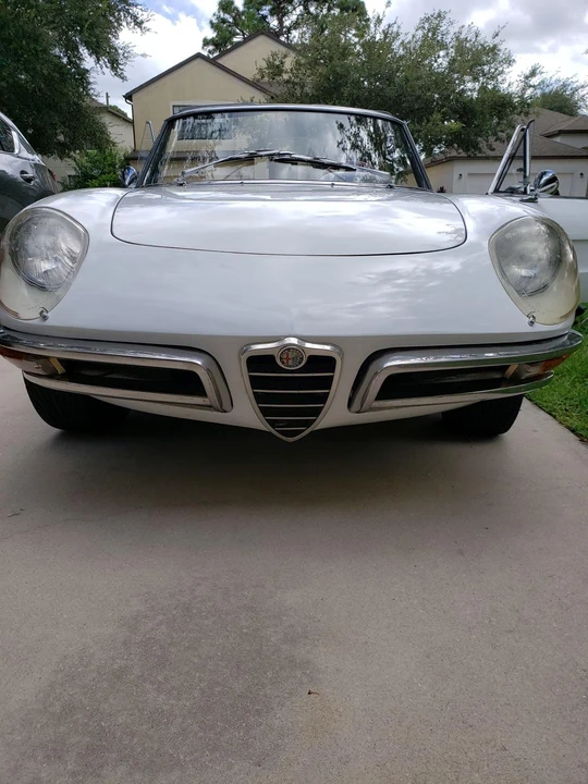 1966 Alfa Romeo Series 1 - Image 14 of 31