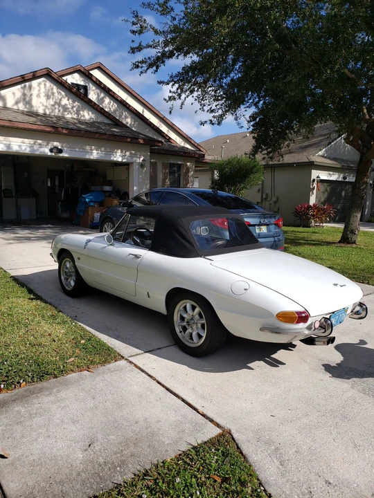 1966 Alfa Romeo Series 1 - Image 11 of 31