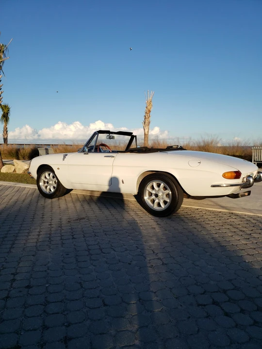 1966 Alfa Romeo Series 1 - Image 8 of 31