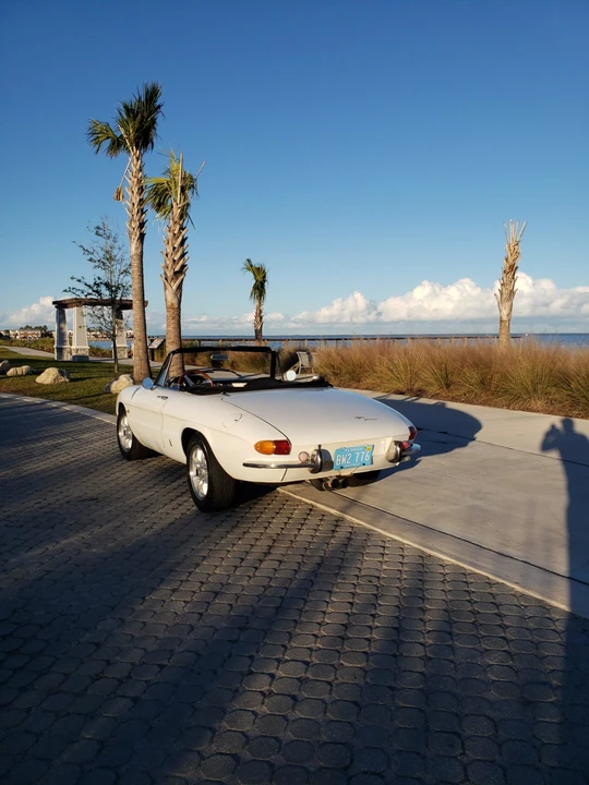 1966 Alfa Romeo Series 1 - Image 9 of 31