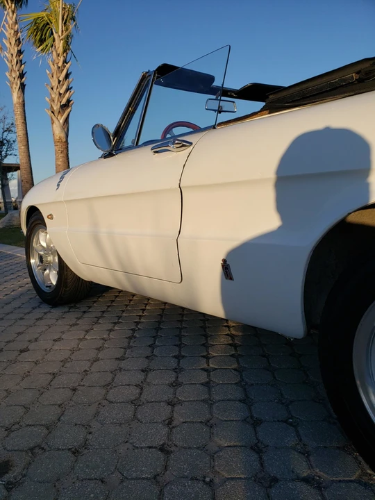 1966 Alfa Romeo Series 1 - Image 20 of 31