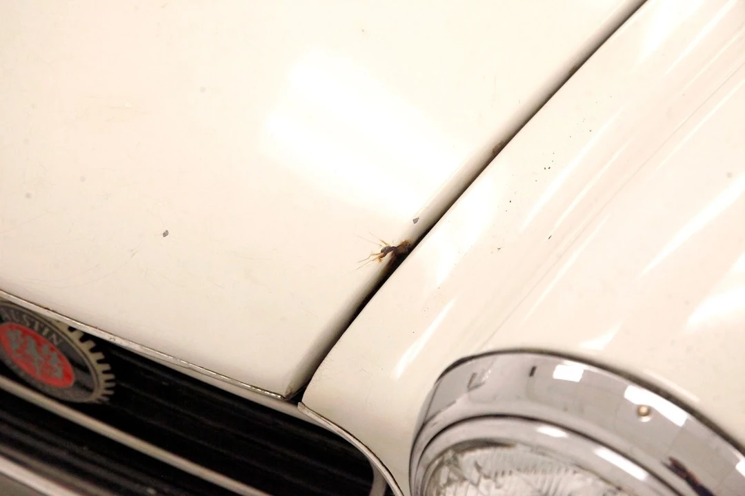 1966 Austin-Healey Sprite Mark IV - Image 16 of 21