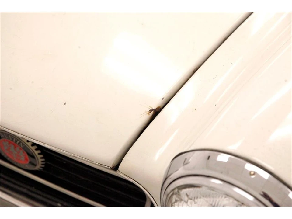 1966 Austin-Healey Sprite Mark IV - Image 16 of 31