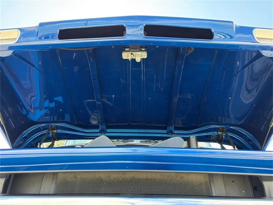 1966 Chevrolet C/K 1st Gen - Image 11 of 31