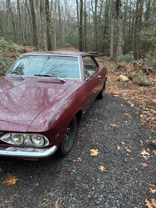1966 Chevrolet Corvair 2nd Gen - Image 2 of 8
