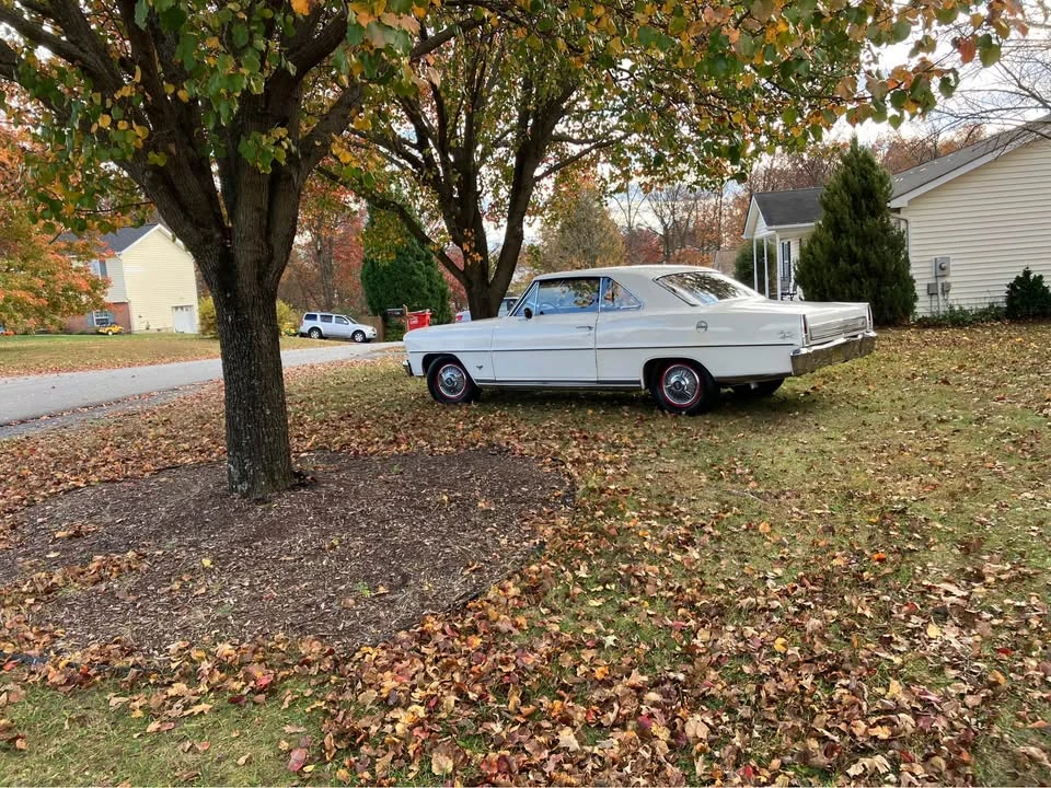 1966 Chevrolet SS - Image 2 of 10