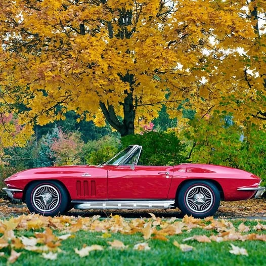 1966 Chevrolet Corvette C2 - Image 1 of 1