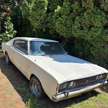 1966 Dodge Charger