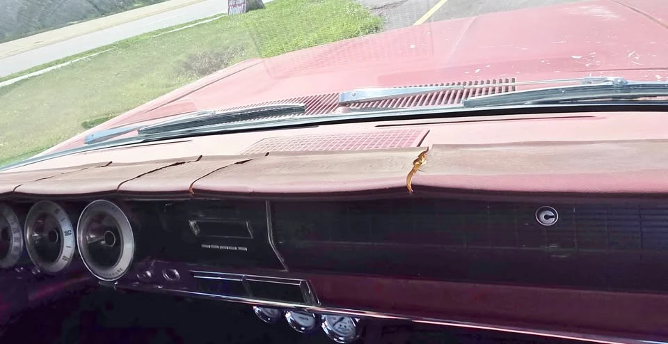 1966 Dodge Charger 1st Gen - Image 12 of 20