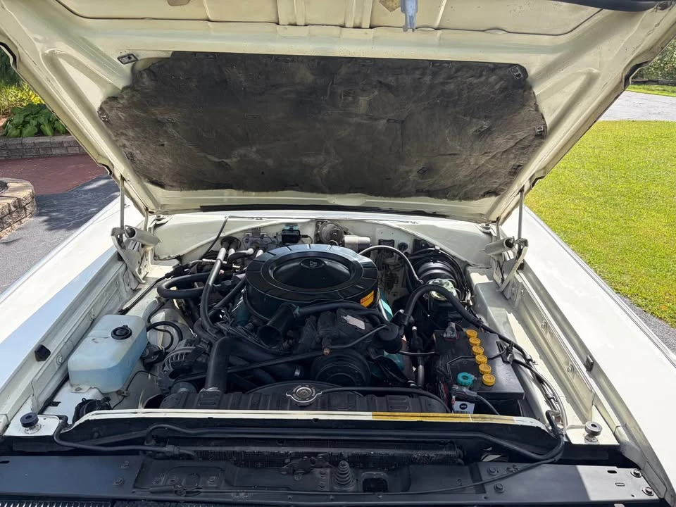 1966 Dodge Charger 1st Gen - Image 10 of 12