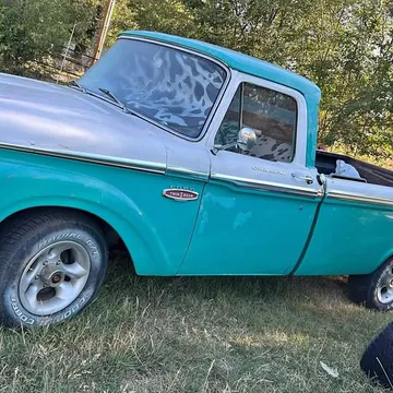 1966 Ford F-100
