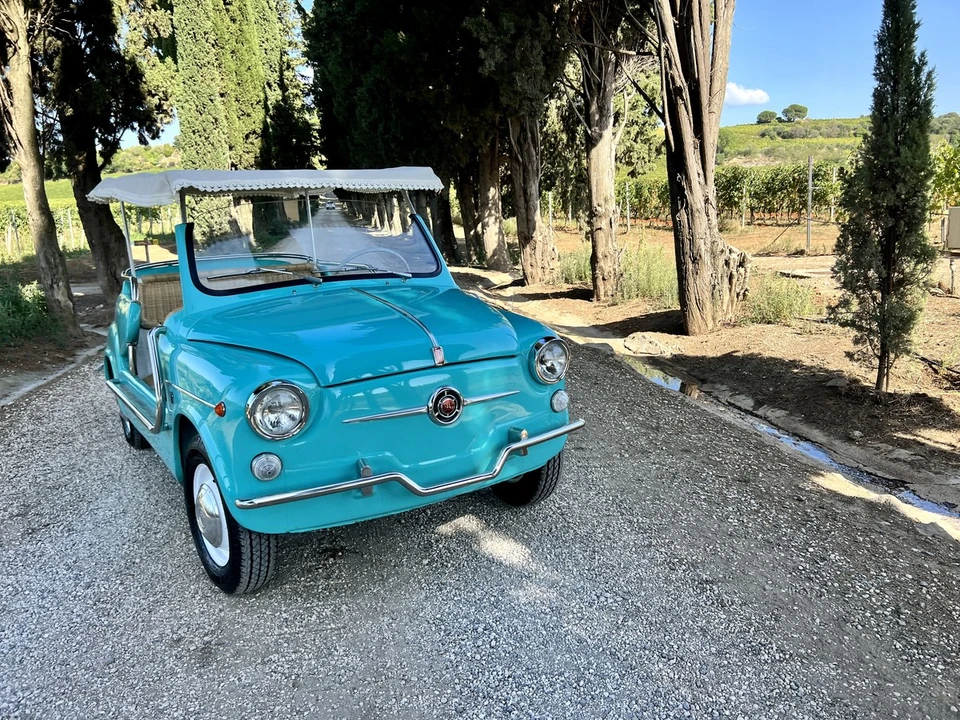 1966 Fiat 600D - Image 2 of 30