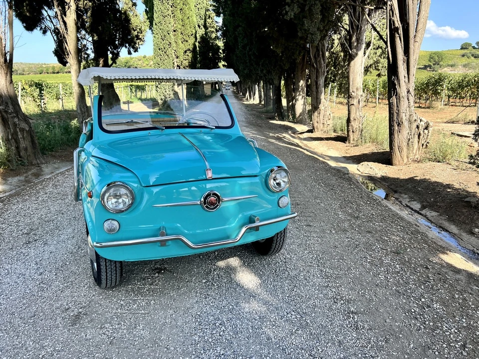 1966 Fiat 600D - Image 8 of 30