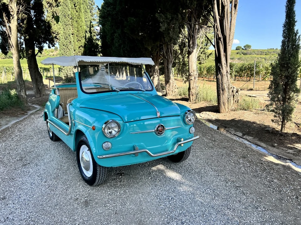 1966 Fiat 600D - Image 9 of 30