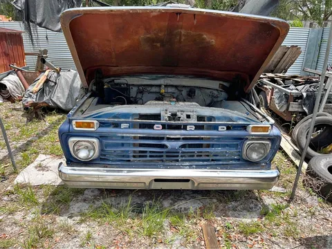 1966 Ford 100