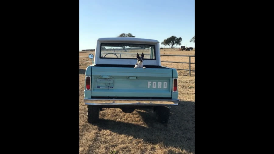 1966 Ford Bronco 1st Gen - Image 9 of 9