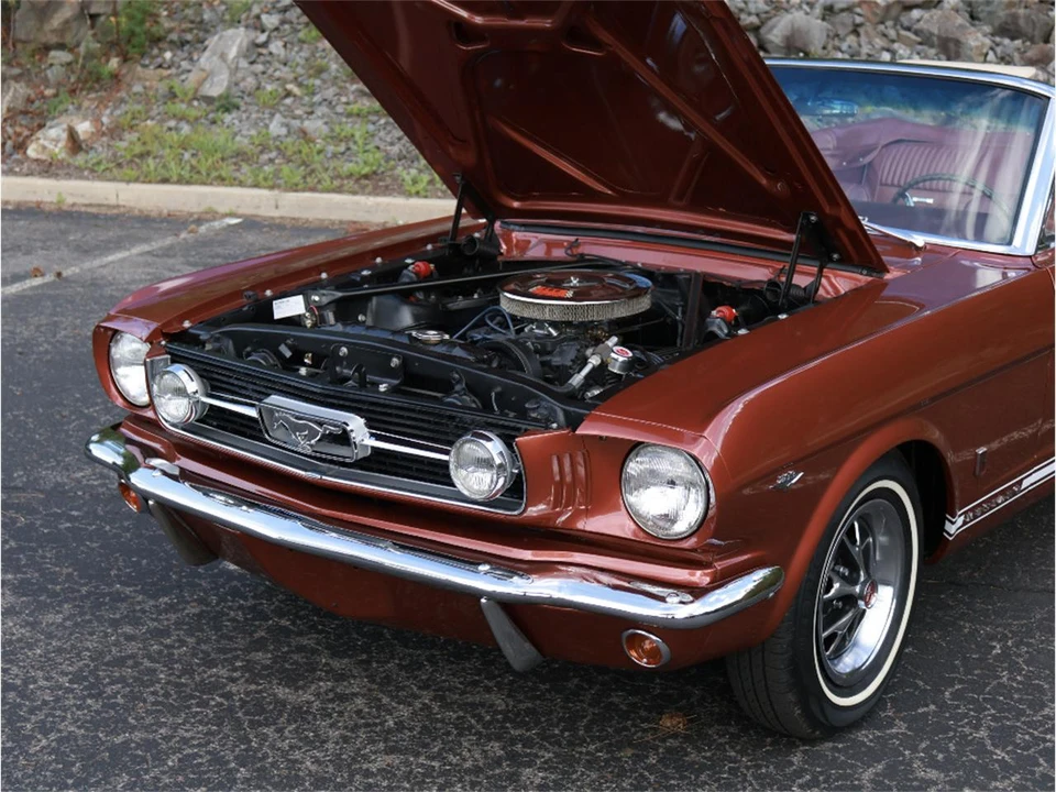 1966 Ford Fairlane 5th Gen - Image 28 of 31