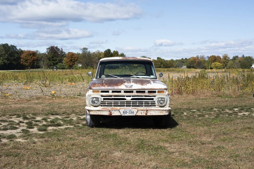 1966 Ford F-Series 4th Gen - Image 30 of 31